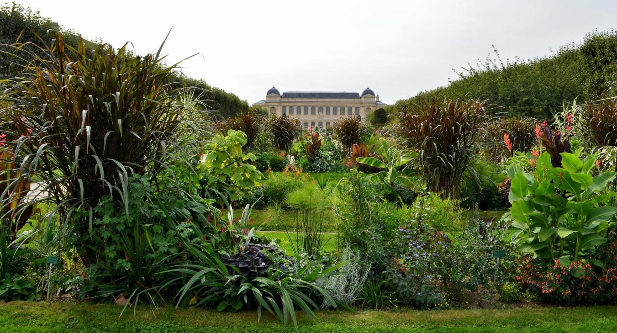 So Paris Group - Fully Serviced Apartment - Jardin Des Plantes - Heart Of Paris Exterior photo